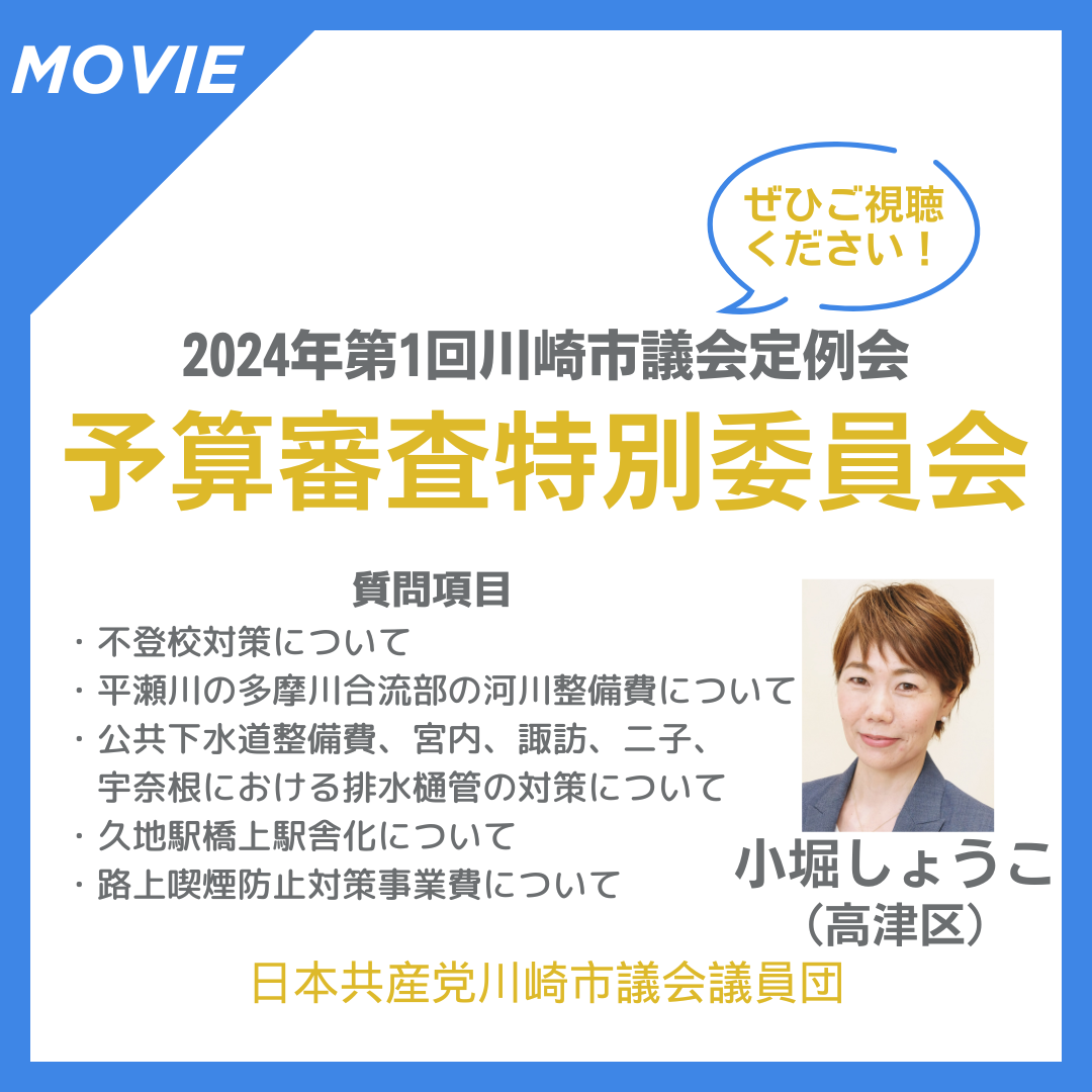 2024年第一回川崎市議会定例会、予算審査特別委員会での質問